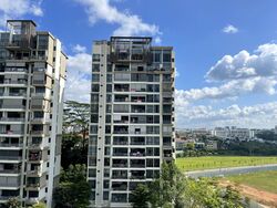 The Skywoods (D23), Condominium #367705591